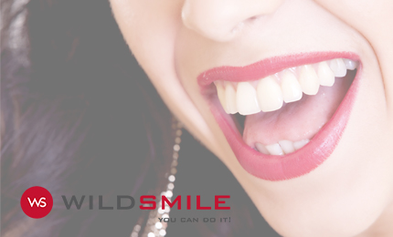 banner aplicado em wildsmile